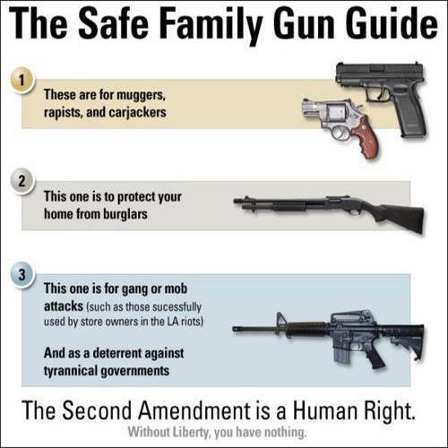 Gun enthusiasts, and Second Amendment Supporters will tend to argue that a given situation can dictate the type of firearm one might use.